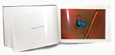 Buch Lichtmale